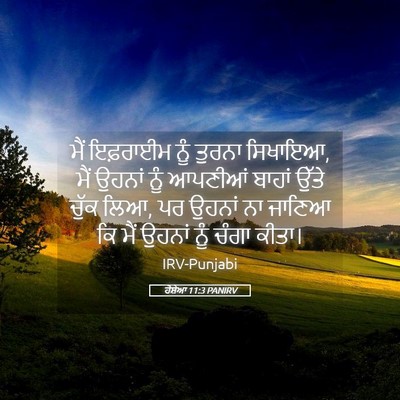 Picture 05 - ਹੋਸ਼ੇਆ 11:3 PANIRV - ਮੈਂ ਇਫ਼ਰਾਈਮ ਨੂੰ - Bible Verse Picture