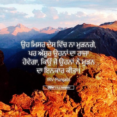 Picture 05 - ਹੋਸ਼ੇਆ 11:5 PANIRV - ਉਹ ਮਿਸਰ ਦੇਸ ਵਿੱਚ ਨਾ - Bible Verse Picture