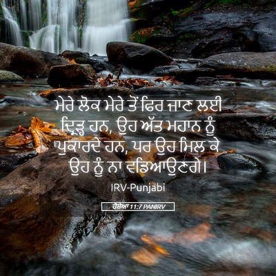 Picture 05 - ਹੋਸ਼ੇਆ 11:7 PANIRV - ਮੇਰੇ ਲੋਕ ਮੇਰੇ ਤੋਂ - Bible Verse Picture