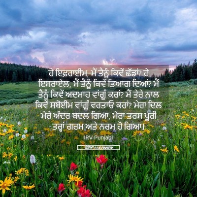 Picture 05 - ਹੋਸ਼ੇਆ 11:8 PANIRV - ਹੇ ਇਫ਼ਰਾਈਮ, ਮੈਂ - Bible Verse Picture