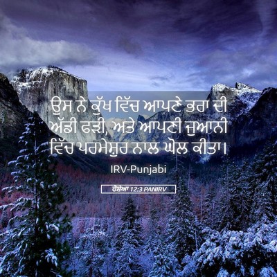 Picture 05 - ਹੋਸ਼ੇਆ 12:3 PANIRV - ਉਸ ਨੇ ਕੁੱਖ ਵਿੱਚ - Bible Verse Picture