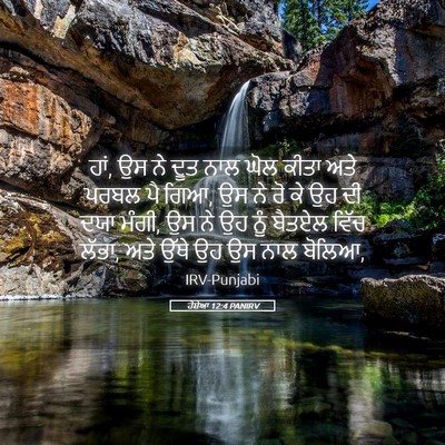Picture 05 - ਹੋਸ਼ੇਆ 12:4 PANIRV - ਹਾਂ, ਉਸ ਨੇ ਦੂਤ ਨਾਲ - Bible Verse Picture