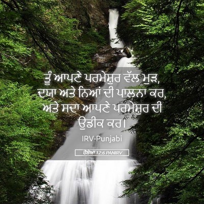 Picture 05 - ਹੋਸ਼ੇਆ 12:6 PANIRV - ਤੂੰ ਆਪਣੇ ਪਰਮੇਸ਼ੁਰ - Bible Verse Picture