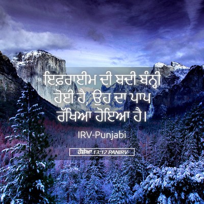 Picture 05 - ਹੋਸ਼ੇਆ 13:12 PANIRV - ਇਫ਼ਰਾਈਮ ਦੀ ਬਦੀ - Bible Verse Picture