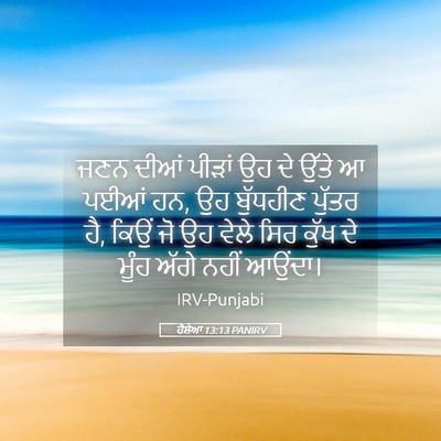 Picture 05 - ਹੋਸ਼ੇਆ 13:13 PANIRV - ਜਣਨ ਦੀਆਂ ਪੀੜਾਂ ਉਹ - Bible Verse Picture