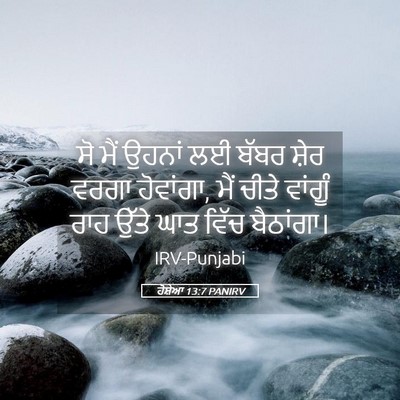 Picture 05 - ਹੋਸ਼ੇਆ 13:7 PANIRV - ਸੋ ਮੈਂ ਉਹਨਾਂ ਲਈ - Bible Verse Picture