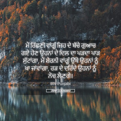 Picture 05 - ਹੋਸ਼ੇਆ 13:8 PANIRV - ਮੈਂ ਰਿੱਛਣੀ ਵਾਂਗੂੰ - Bible Verse Picture
