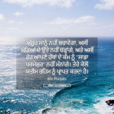 Picture 05 - ਹੋਸ਼ੇਆ 14:3 PANIRV - ਅੱਸ਼ੂਰ ਸਾਨੂੰ ਨਹੀਂ - Bible Verse Picture