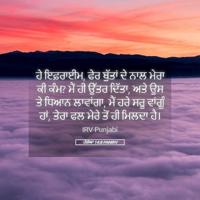 Picture 05 - ਹੋਸ਼ੇਆ 14:8 PANIRV - ਹੇ ਇਫ਼ਰਾਈਮ, ਫੇਰ - Bible Verse Picture