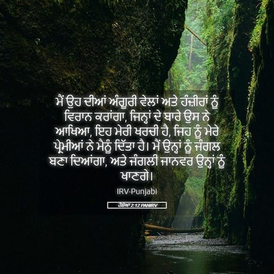 Picture 05 - ਹੋਸ਼ੇਆ 2:12 PANIRV - ਮੈਂ ਉਹ ਦੀਆਂ ਅੰਗੂਰੀ - Bible Verse Picture