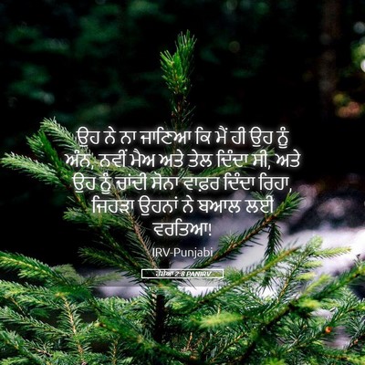 Picture 05 - ਹੋਸ਼ੇਆ 2:8 PANIRV - ਉਹ ਨੇ ਨਾ ਜਾਣਿਆ ਕਿ - Bible Verse Picture