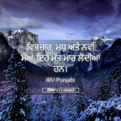 Picture 05 - ਹੋਸ਼ੇਆ 4:11 PANIRV - ਵਿਭਚਾਰ, ਮਧ ਅਤੇ ਨਵੀਂ - Bible Verse Picture