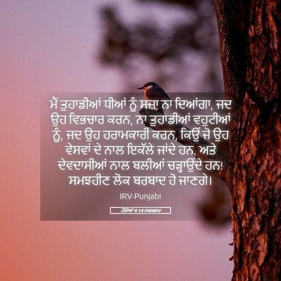 Picture 05 - ਹੋਸ਼ੇਆ 4:14 PANIRV - ਮੈਂ ਤੁਹਾਡੀਆਂ ਧੀਆਂ - Bible Verse Picture