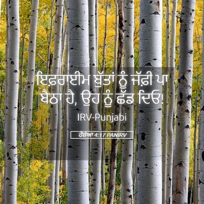 Picture 05 - ਹੋਸ਼ੇਆ 4:17 PANIRV - ਇਫ਼ਰਾਈਮ ਬੁੱਤਾਂ - Bible Verse Picture