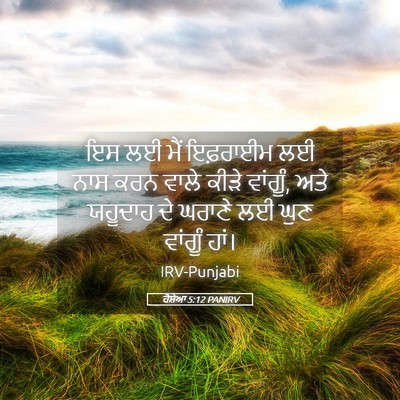 Picture 05 - ਹੋਸ਼ੇਆ 5:12 PANIRV - ਇਸ ਲਈ ਮੈਂ ਇਫ਼ਰਾਈਮ - Bible Verse Picture