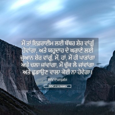 Picture 05 - ਹੋਸ਼ੇਆ 5:14 PANIRV - ਮੈਂ ਤਾਂ ਇਫ਼ਰਾਈਮ ਲਈ - Bible Verse Picture