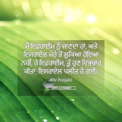 Picture 05 - ਹੋਸ਼ੇਆ 5:3 PANIRV - ਮੈਂ ਇਫ਼ਰਾਈਮ ਨੂੰ - Bible Verse Picture