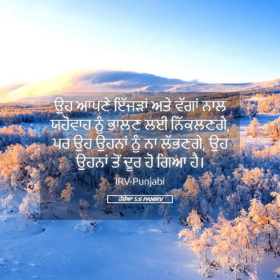 Picture 05 - ਹੋਸ਼ੇਆ 5:6 PANIRV - ਉਹ ਆਪਣੇ ਇੱਜੜਾਂ ਅਤੇ - Bible Verse Picture
