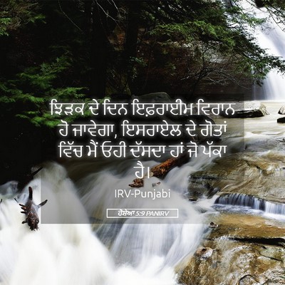 Picture 05 - ਹੋਸ਼ੇਆ 5:9 PANIRV - ਝਿੜਕ ਦੇ ਦਿਨ - Bible Verse Picture