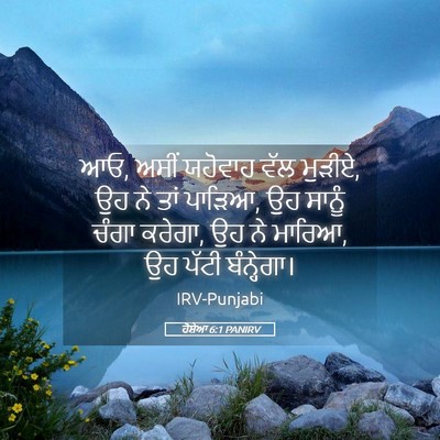 Picture 05 - ਹੋਸ਼ੇਆ 6:1 PANIRV - ਆਓ, ਅਸੀਂ ਯਹੋਵਾਹ ਵੱਲ - Bible Verse Picture