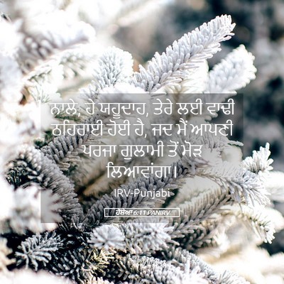 Picture 05 - ਹੋਸ਼ੇਆ 6:11 PANIRV - ਨਾਲੇ, ਹੇ ਯਹੂਦਾਹ, - Bible Verse Picture