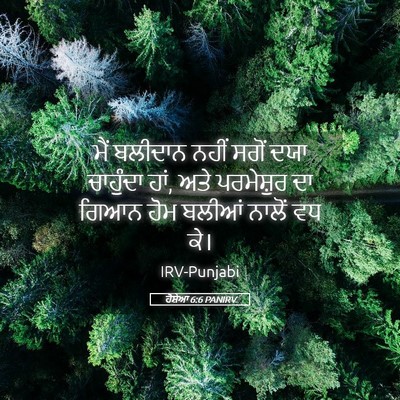 Picture 05 - ਹੋਸ਼ੇਆ 6:6 PANIRV - ਮੈਂ ਬਲੀਦਾਨ ਨਹੀਂ - Bible Verse Picture