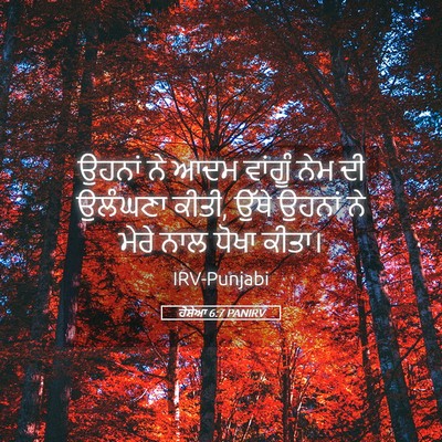 Picture 05 - ਹੋਸ਼ੇਆ 6:7 PANIRV - ਉਹਨਾਂ ਨੇ ਆਦਮ - Bible Verse Picture