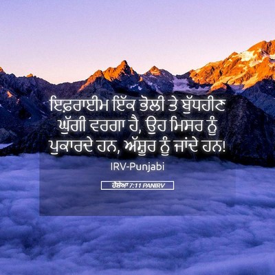 Picture 05 - ਹੋਸ਼ੇਆ 7:11 PANIRV - ਇਫ਼ਰਾਈਮ ਇੱਕ ਭੋਲੀ - Bible Verse Picture