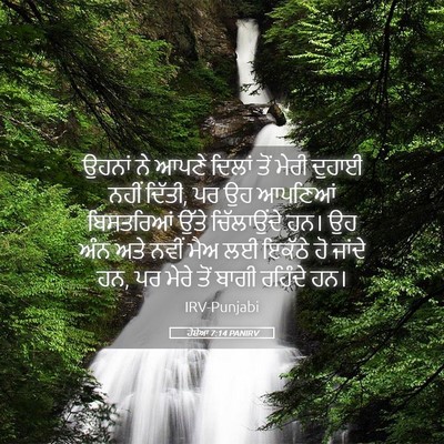 Picture 05 - ਹੋਸ਼ੇਆ 7:14 PANIRV - ਉਹਨਾਂ ਨੇ ਆਪਣੇ - Bible Verse Picture
