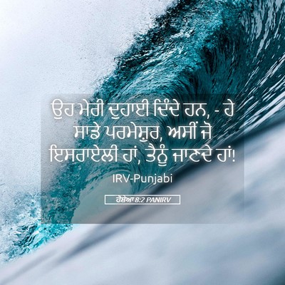 Picture 05 - ਹੋਸ਼ੇਆ 8:2 PANIRV - ਉਹ ਮੇਰੀ ਦੁਹਾਈ - Bible Verse Picture
