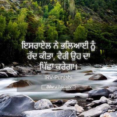 Picture 05 - ਹੋਸ਼ੇਆ 8:3 PANIRV - ਇਸਰਾਏਲ ਨੇ ਭਲਿਆਈ - Bible Verse Picture