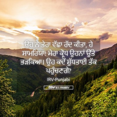 Picture 05 - ਹੋਸ਼ੇਆ 8:5 PANIRV - ਉਹ ਨੇ ਤੇਰਾ ਵੱਛਾ ਰੱਦ - Bible Verse Picture