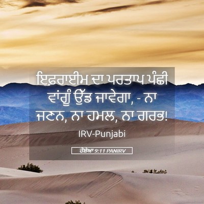 Picture 05 - ਹੋਸ਼ੇਆ 9:11 PANIRV - ਇਫ਼ਰਾਈਮ ਦਾ ਪਰਤਾਪ - Bible Verse Picture