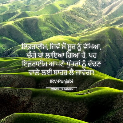 Picture 05 - ਹੋਸ਼ੇਆ 9:13 PANIRV - ਇਫ਼ਰਾਈਮ, ਜਿਵੇਂ ਮੈਂ - Bible Verse Picture