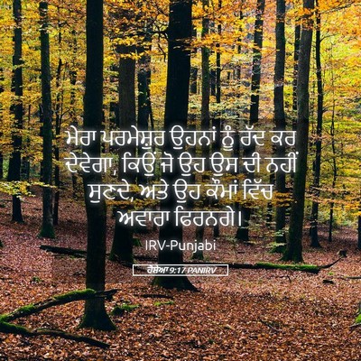 Picture 05 - ਹੋਸ਼ੇਆ 9:17 PANIRV - ਮੇਰਾ ਪਰਮੇਸ਼ੁਰ - Bible Verse Picture
