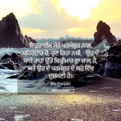 Picture 05 - ਹੋਸ਼ੇਆ 9:8 PANIRV - ਇਫ਼ਰਾਈਮ ਮੇਰੇ - Bible Verse Picture