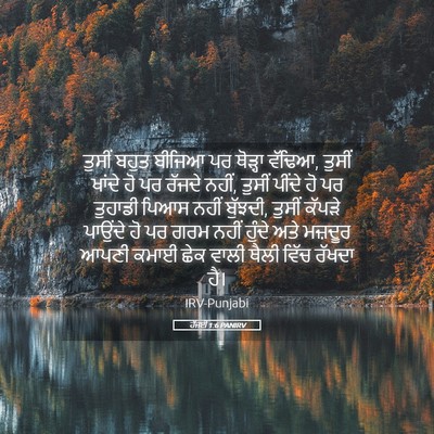 Picture 05 - ਹੱਜਈ 1:6 PANIRV - ਤੁਸੀਂ ਬਹੁਤ ਬੀਜਿਆ - Bible Verse Picture