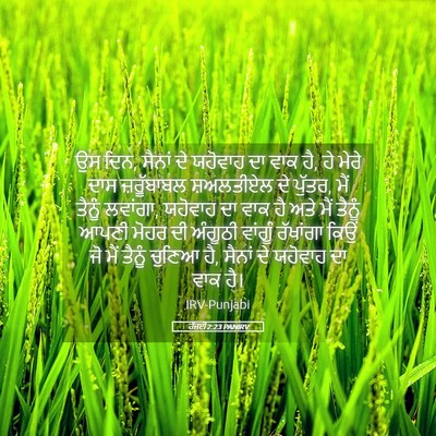 Picture 05 - ਹੱਜਈ 2:23 PANIRV - ਉਸ ਦਿਨ, ਸੈਨਾਂ ਦੇ - Bible Verse Picture