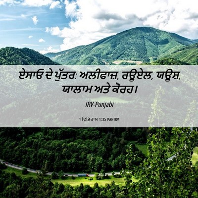 Picture 06 - 1 ਇਤਿਹਾਸ 1:35 PANIRV - ਏਸਾਓ ਦੇ ਪੁੱਤਰ: - Bible Verse Picture