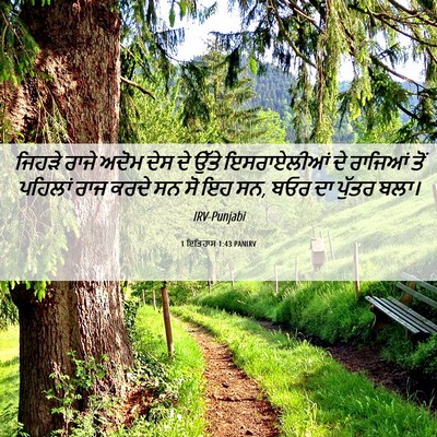Picture 06 - 1 ਇਤਿਹਾਸ 1:43 PANIRV - ਜਿਹੜੇ ਰਾਜੇ ਅਦੋਮ - Bible Verse Picture