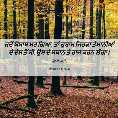 Picture 06 - 1 ਇਤਿਹਾਸ 1:45 PANIRV - ਜਦੋਂ ਯੋਬਾਬ ਮਰ ਗਿਆ, - Bible Verse Picture