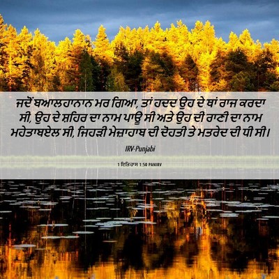 Picture 06 - 1 ਇਤਿਹਾਸ 1:50 PANIRV - ਜਦੋਂ ਬਆਲਹਾਨਾਨ ਮਰ - Bible Verse Picture