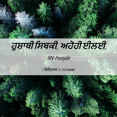 Picture 06 - 1 ਇਤਿਹਾਸ 11:29 PANIRV - ਹੁਸ਼ਾਥੀ ਸਿਬਕੀ, - Bible Verse Picture