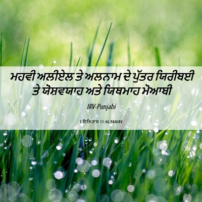 Picture 06 - 1 ਇਤਿਹਾਸ 11:46 PANIRV - ਮਹਵੀ ਅਲੀਏਲ ਤੇ - Bible Verse Picture