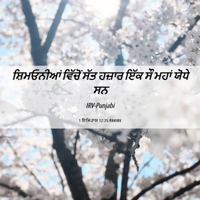Picture 06 - 1 ਇਤਿਹਾਸ 12:25 PANIRV - ਸ਼ਿਮਓਨੀਆਂ ਵਿੱਚੋਂ - Bible Verse Picture