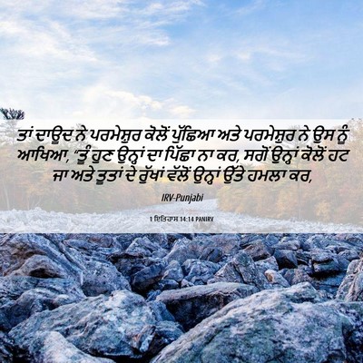 Picture 06 - 1 ਇਤਿਹਾਸ 14:14 PANIRV - ਤਾਂ ਦਾਊਦ ਨੇ - Bible Verse Picture