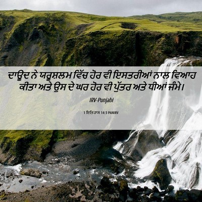 Picture 06 - 1 ਇਤਿਹਾਸ 14:3 PANIRV - ਦਾਊਦ ਨੇ ਯਰੂਸ਼ਲਮ - Bible Verse Picture