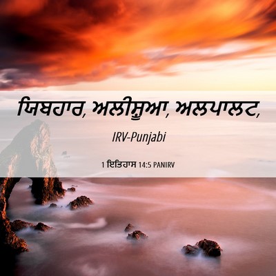 Picture 06 - 1 ਇਤਿਹਾਸ 14:5 PANIRV - ਯਿਬਹਾਰ, ਅਲੀਸ਼ੂਆ, - Bible Verse Picture