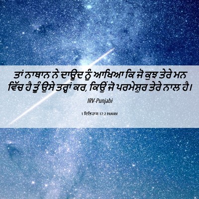 Picture 06 - 1 ਇਤਿਹਾਸ 17:2 PANIRV - ਤਾਂ ਨਾਥਾਨ ਨੇ ਦਾਊਦ - Bible Verse Picture