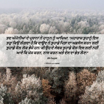Picture 06 - 1 ਇਤਿਹਾਸ 19:3 PANIRV - ਤਦ ਅੰਮੋਨੀਆਂ ਦੇ - Bible Verse Picture